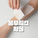 사곡초등학교 | 봄부띠끄에서 전문가의 손길을 느끼고 왔어요!