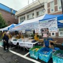 연세리더스신경외과의원 이미지