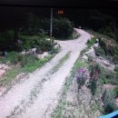 동막농장 이미지