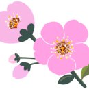 온천천시민공원 동백 이미지