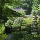 대자연횟집 이미지