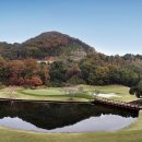 파인크리크C.C 이미지