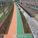 당진 탑동초등학교 충남신문