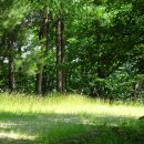 휴양림길 이미지