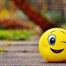 국민권익 행정사사무소 이미지