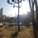 신수어린이공원 이미지