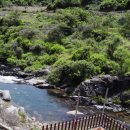 정자나무민박 이미지