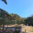 청송심씨 묘역 | 청주 청송심씨 묘역淸州靑松沈氏묘역