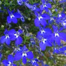 감물초등학교 병설유치원 이미지