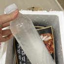 도깨비 프렌즈 | 도깨비 프렌즈 김치찌개 /밀키트추천 /여행용 밀키트 추천 /솔직후기 / 김치찜