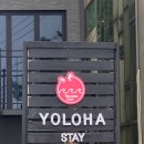 욜로하 스테이 이미지