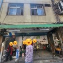 고양이 세수_설렘 이미지