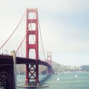 영화로 전하는 음악이야기 이미지