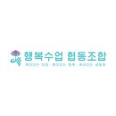 친절한명상