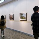 압화&보존화공예 이미지