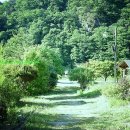 강물소리식당 이미지