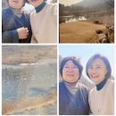 천년목 다육농장