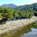 솔바람오토캠핑장 네이버블로그