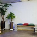 바이러스게임방 이미지