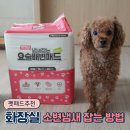 요술펫 | 펫패드만 바꿔도 화장실 강아지 소변냄새 확 잡아준다고?