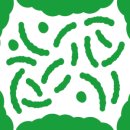 지금스미다