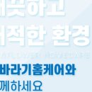 해바라기홈케어 이미지