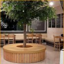 화이트치과의원 | 편안하게 진료받은 치과 방문 후기화이트라인치과의원