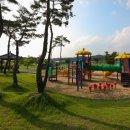 풍산단호로(풍산읍) 이미지