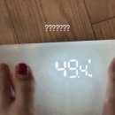 헬로펫샵 | 졸업반 백수의 방학일기