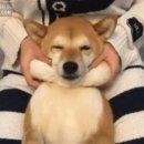 탑산후조리원 이미지