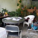 청솔카포스 이미지