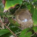 용아의원 이미지