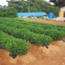 석포1리마을회관 이미지