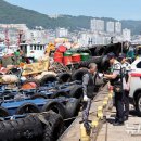 부산해양경찰서 영도파출소 이미지