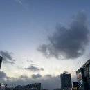 요섭농장 | [기록] 3月