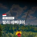 대해DC마트 | 발리여행 절때가면안되는날 공항폐쇄 외출금지 녜삐데이날짜