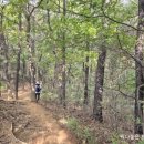 봉서1리 이미지