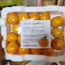 우석대 라이온 태권도 이미지