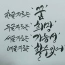 뷰티인셀덤 - 수원시 권선구 | 뷰티인셀덤