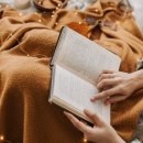 윤명애컨설팅뉴플랜학원 | 의정부를 대표하는 뉴플랜학원의 초등영어는?