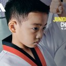 송중태권도 이미지