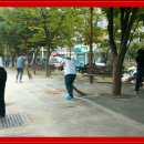 대양공원 이미지