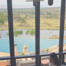 SNS당구클럽 이미지