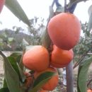 해신환경 이미지