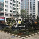 황금마에스트로공인중개사사무소 이미지