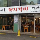 도화갈매기 이미지