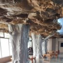 스파리조트 안단테 찜질방 이미지