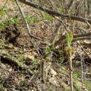 뒷동산농원 이미지