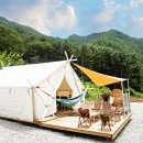 양지파인글램핑 이미지