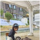 용인대 아이튼튼 태권도장 이미지
